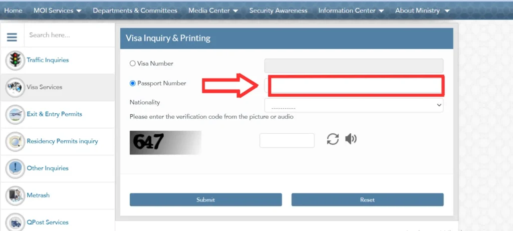 Check visa by passport number